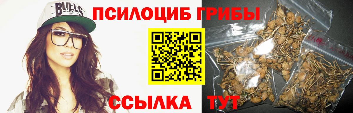 Галлюциногенные грибы мицелий  Вход с VPN  Заринск 